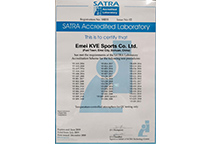 腾龙集团(中国)有限公司官网