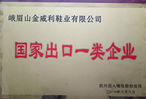 腾龙集团(中国)有限公司官网