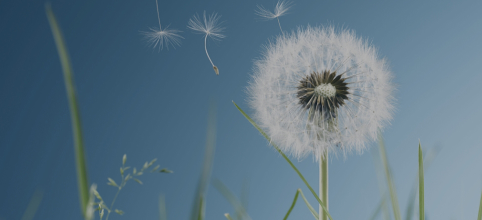 腾龙集团(中国)有限公司官网